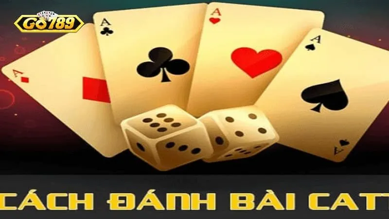 Tìm hiểu tính năng đặc biệt trong Catte Go789