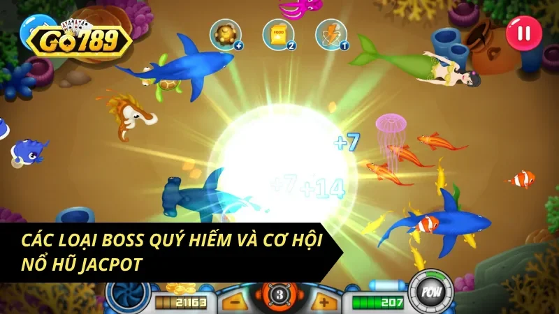 Cẩm Nang Chơi Tỷ Phú Đại Dương Bách Chiến Bách Thắng 4 Phân bổ lượng đạn hợp lý dựa trên hệ số quy đổi thưởng của sinh vật